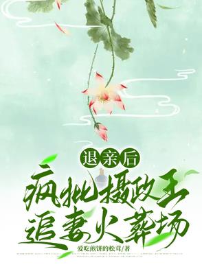 退亲后,疯批摄政王追妻火葬场